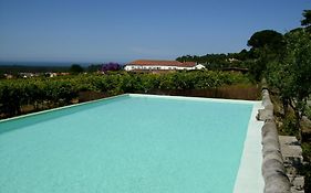 Quinta Do Paco D'Anha